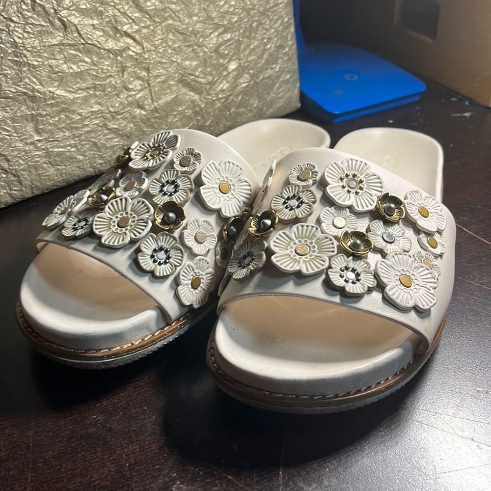 Chalk Sport Slides Coach Tea Rose Flower